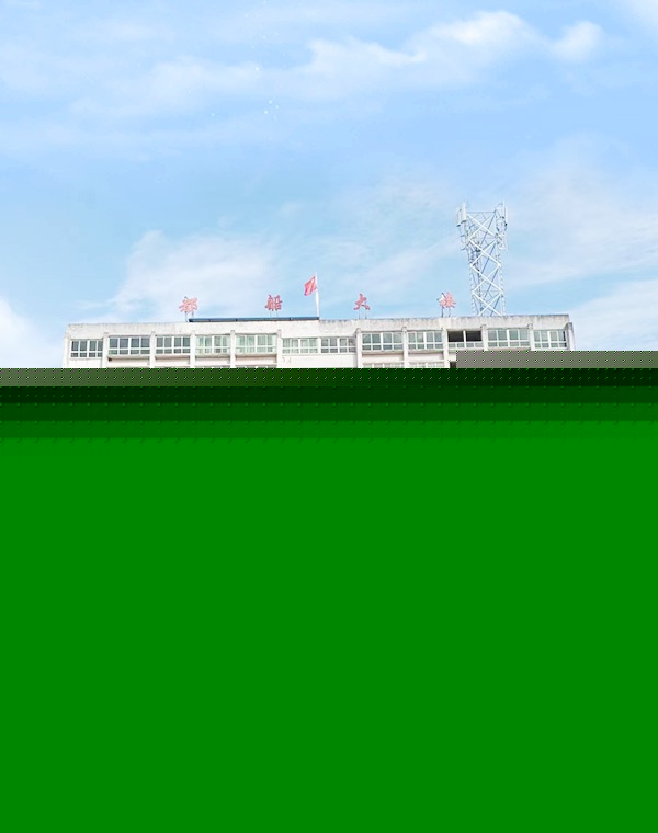 企業(yè)優(yōu)勢(shì)